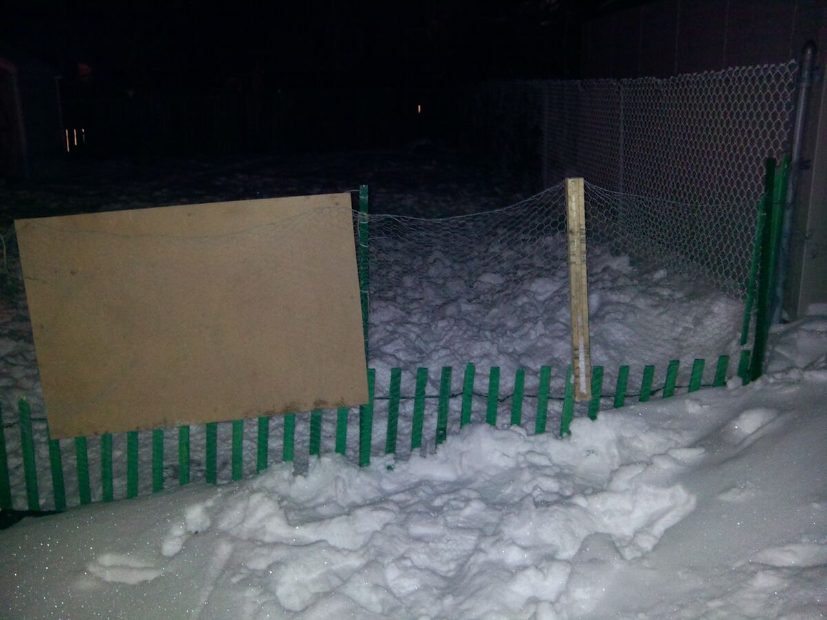 A sagging chicken-wire fence propped up with a plank and a stick